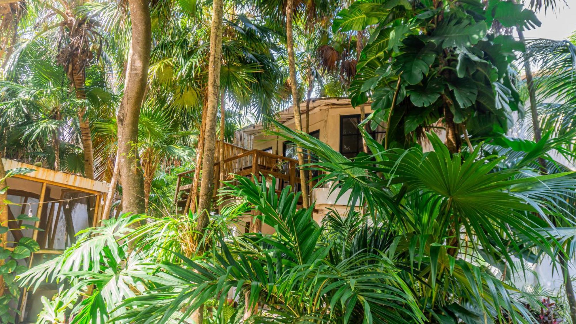 Casa Ambar Hotel & Boutique Tulum (Adults Only) Buitenkant foto
