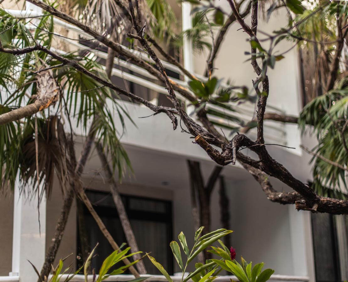 Casa Ambar Hotel & Boutique Tulum (Adults Only) Buitenkant foto